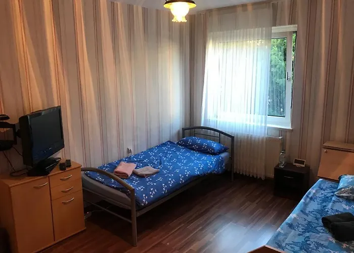 Misha,s Place Homestay *